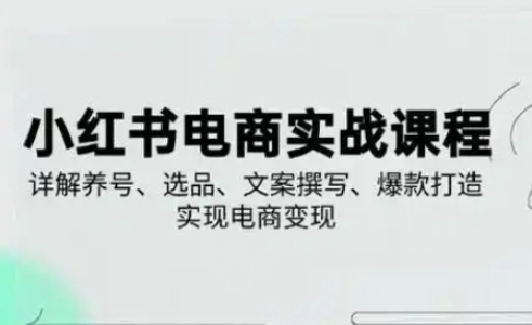 小红书从0-1实操课(2023-2025)，详解养号、选品、文案撰写、爆款打造实现电商变现-AI搞钱研究院