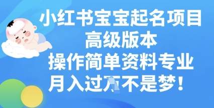 小红书宝宝起名项目高级版本，操作简单，资料专业，月入过W-AI搞钱研究院