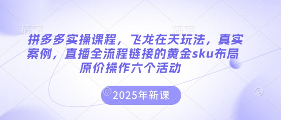 拼多多实操课程，飞龙在天玩法，真实案例，直播全流程链接的黄金sku布局原价操作六个活动-AI搞钱研究院