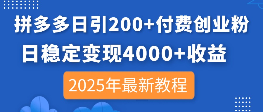 （14217期）拼多多日引200+付费创业粉，日稳定变现4000+收益，2025年最新教程-AI搞钱研究院