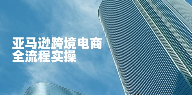 （14252期）亚马逊跨境电商全流程实操，教你从零开始，掌握店铺运营与广告技巧-AI搞钱研究院