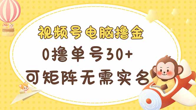 （14220期）视频号电脑撸金 0撸单号30+ 可矩阵 无需实名多号多得-AI搞钱研究院