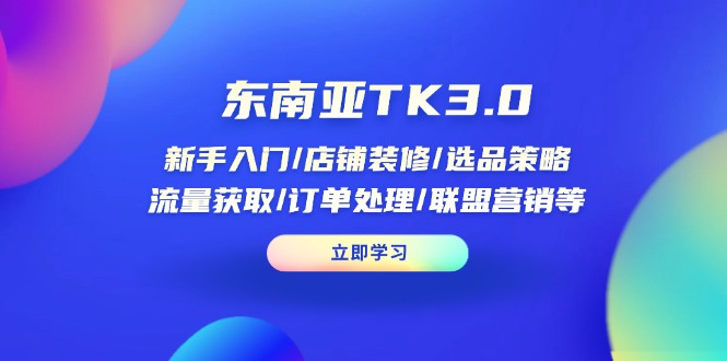 （14208期）东南亚TK3.0：新手入门/店铺装修/选品策略/流量获取/订单处理/联盟营销等-AI搞钱研究院