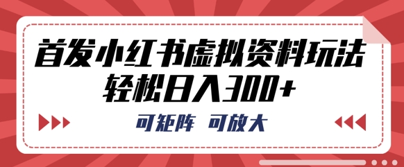 首发小红书虚拟资料玩法，可矩阵，可放大，轻松日入3张-AI搞钱研究院