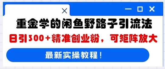 重金学的闲鱼野路子引流法，日引300+精准创业粉，可矩阵放大-AI搞钱研究院