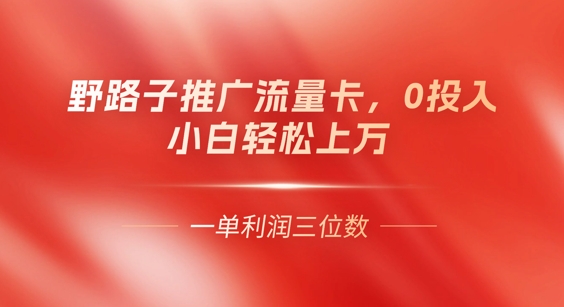 0门槛推广流量卡，一单收益上百，0投入，小白月入过W-AI搞钱研究院
