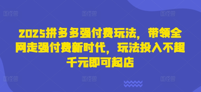 2025拼多多强付费玩法，带领全网走强付费新时代，玩法投入不超千元即可起店-AI搞钱研究院