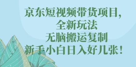 京东短视频带货项目，全新玩法，无脑搬运复制，新手小白日入好几张!-AI搞钱研究院