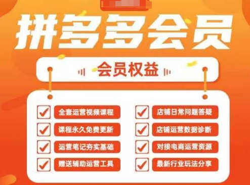 2025拼多多运营实战课，40节全流程教学，覆盖拼多多运营全链路-AI搞钱研究院