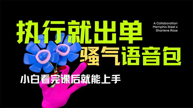 （14170期）爆火全网的开车导航骚气语音包,只要执行就出单，小白看完课程就能实操…-AI搞钱研究院