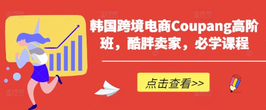 韩国跨境电商Coupang高阶班，酷胖卖家，必学课程-AI搞钱研究院